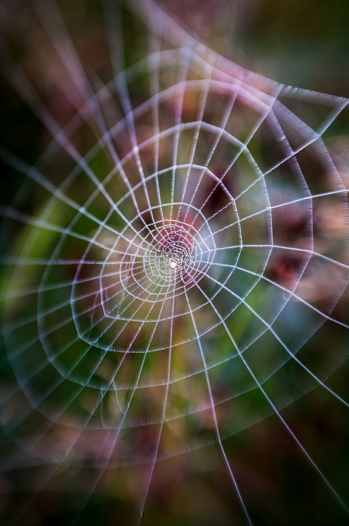 Web (Emst)